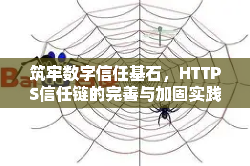 筑牢数字信任基石，HTTPS信任链的完善与加固实践指南