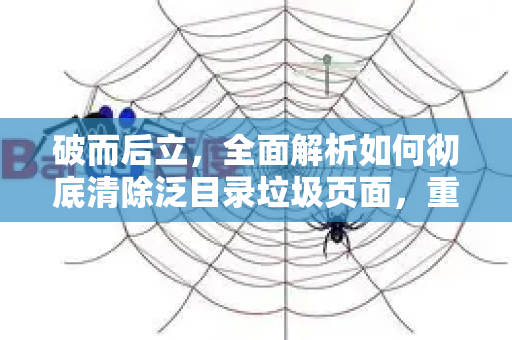 破而后立，全面解析如何彻底清除泛目录垃圾页面，重塑网站健康生态