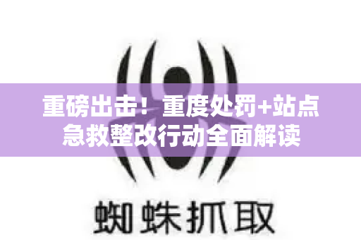重磅出击！重度处罚+站点急救整改行动全面解读