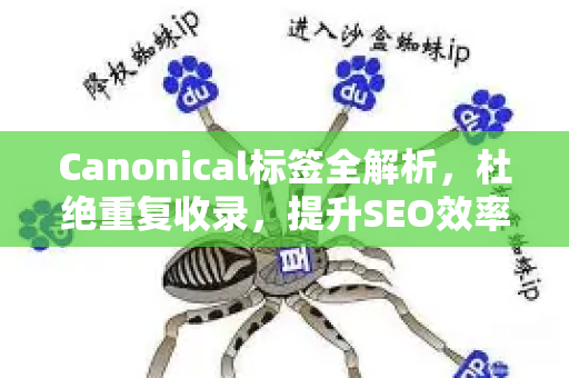 Canonical标签全解析，杜绝重复收录，提升SEO效率-第1张图片-星博讯-专业SEO_网站优化技巧_搜索引擎排名提升