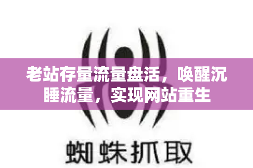 老站存量流量盘活，唤醒沉睡流量，实现网站重生