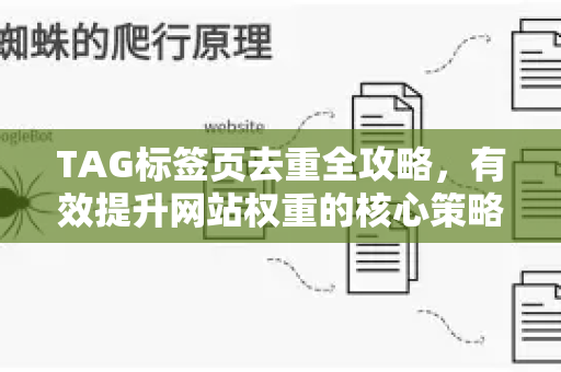 TAG标签页去重全攻略，有效提升网站权重的核心策略