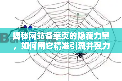 揭秘网站备案页的隐藏力量，如何用它精准引流并强力提升网站权重？-第1张图片-星博讯-专业SEO_网站优化技巧_搜索引擎排名提升