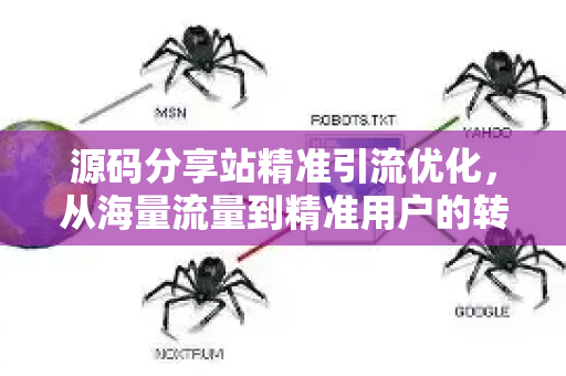 源码分享站精准引流优化，从海量流量到精准用户的转化之道