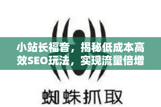 小站长福音，揭秘低成本高效SEO玩法，实现流量倍增-第1张图片-星博讯-专业SEO_网站优化技巧_搜索引擎排名提升