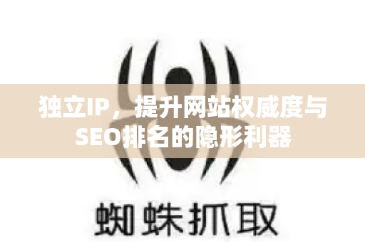 独立IP，提升网站权威度与SEO排名的隐形利器