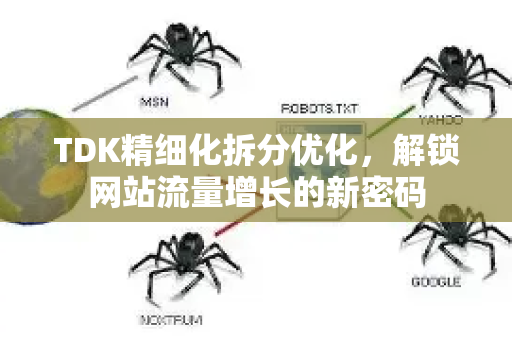 TDK精细化拆分优化，解锁网站流量增长的新密码