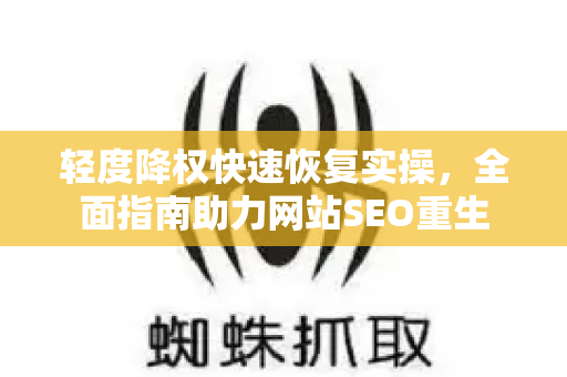轻度降权快速恢复实操，全面指南助力网站SEO重生