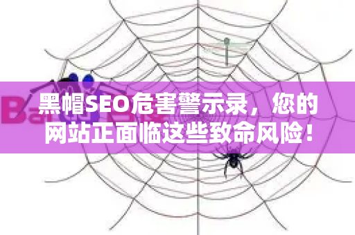 黑帽SEO危害警示录，您的网站正面临这些致命风险！-第1张图片-星博讯-专业SEO_网站优化技巧_搜索引擎排名提升