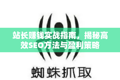 站长赚钱实战指南，揭秘高效SEO方法与盈利策略-第1张图片-星博讯-专业SEO_网站优化技巧_搜索引擎排名提升