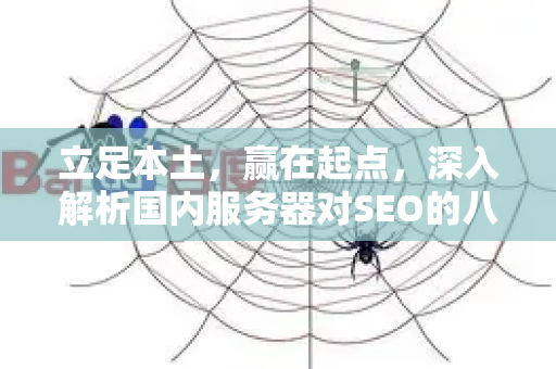 立足本土，赢在起点，深入解析国内服务器对SEO的八大核心优势-第1张图片-星博讯-专业SEO_网站优化技巧_搜索引擎排名提升