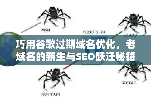 巧用谷歌过期域名优化，老域名的新生与SEO跃迁秘籍-第1张图片-星博讯-专业SEO_网站优化技巧_搜索引擎排名提升