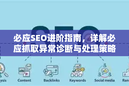 必应SEO进阶指南，详解必应抓取异常诊断与处理策略