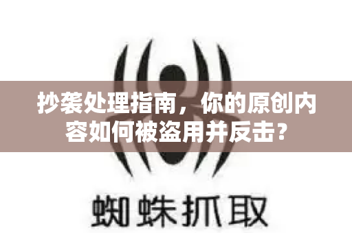 抄袭处理指南，你的原创内容如何被盗用并反击？-第1张图片-星博讯-专业SEO_网站优化技巧_搜索引擎排名提升