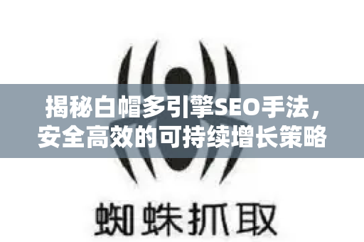 揭秘白帽多引擎SEO手法，安全高效的可持续增长策略