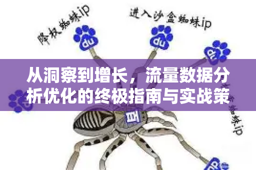 从洞察到增长，流量数据分析优化的终极指南与实战策略