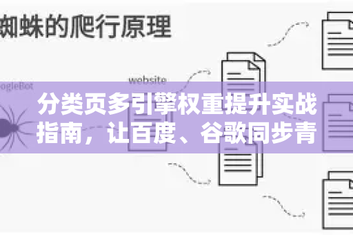 分类页多引擎权重提升实战指南，让百度、谷歌同步青睐你的核心页面