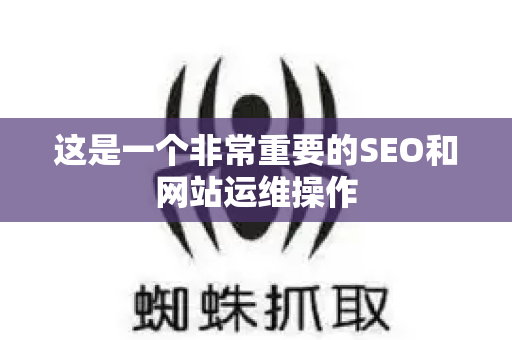 这是一个非常重要的SEO和网站运维操作-第1张图片-星博讯-专业SEO_网站优化技巧_搜索引擎排名提升