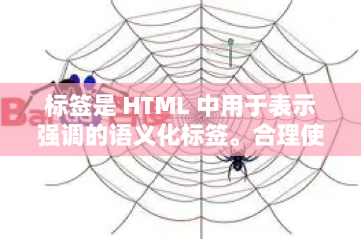 标签是 HTML 中用于表示强调的语义化标签。合理使用它能提升网站的可访问性、SEO 和代码结构-第1张图片-星博讯-专业SEO_网站优化技巧_搜索引擎排名提升
