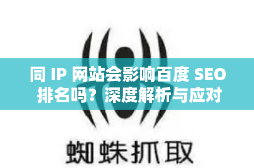 同 IP 网站会影响百度 SEO 排名吗？深度解析与应对策略