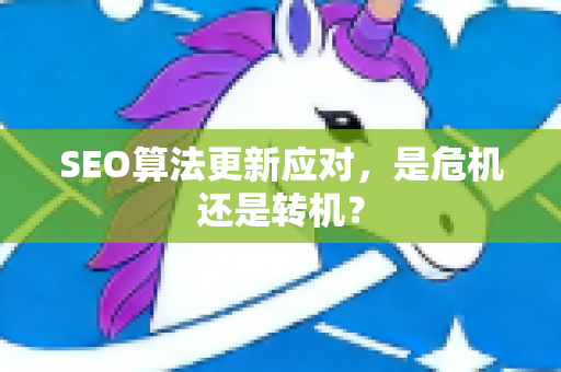 SEO算法更新应对，是危机还是转机？