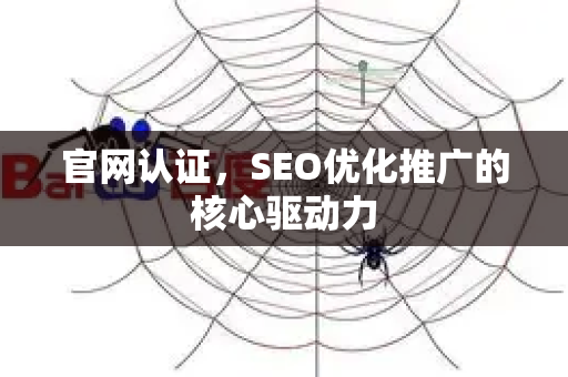 官网认证，SEO优化推广的核心驱动力-第1张图片-星博讯-专业SEO_网站优化技巧_搜索引擎排名提升