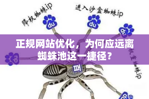 正规网站优化，为何应远离蜘蛛池这一捷径？