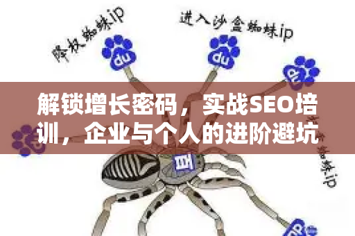 解锁增长密码，实战SEO培训，企业与个人的进阶避坑指南
