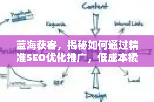 蓝海获客，揭秘如何通过精准SEO优化推广，低成本撬动无限流量-第1张图片-星博讯-专业SEO_网站优化技巧_搜索引擎排名提升