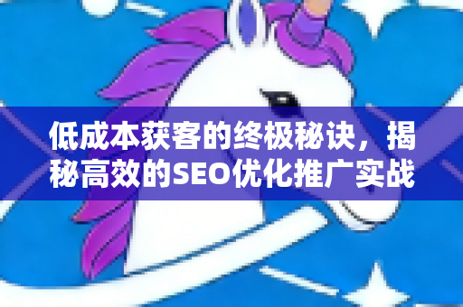 低成本获客的终极秘诀，揭秘高效的SEO优化推广实战指南-第1张图片-星博讯-专业SEO_网站优化技巧_搜索引擎排名提升