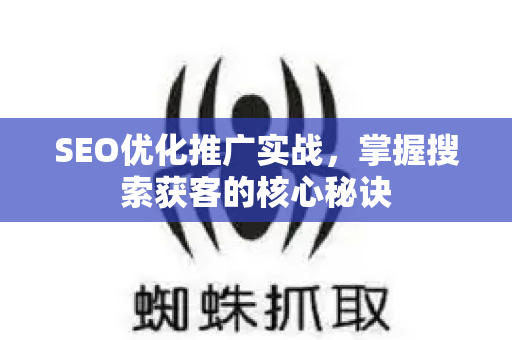 SEO优化推广实战，掌握搜索获客的核心秘诀-第1张图片-星博讯-专业SEO_网站优化技巧_搜索引擎排名提升