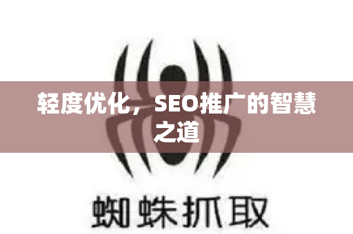 轻度优化，SEO推广的智慧之道
