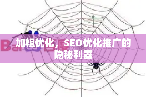 加粗优化，SEO优化推广的隐秘利器
