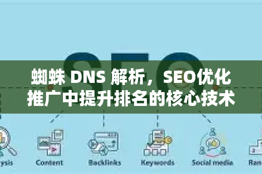 蜘蛛 DNS 解析，SEO优化推广中提升排名的核心技术