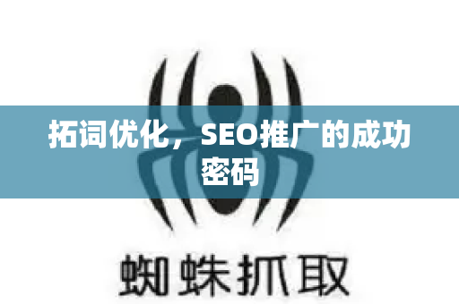 拓词优化，SEO推广的成功密码