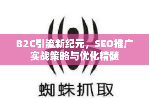 B2C引流新纪元，SEO推广实战策略与优化精髓