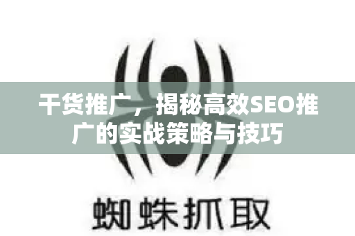 干货推广，揭秘高效SEO推广的实战策略与技巧