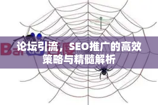 论坛引流，SEO推广的高效策略与精髓解析-第1张图片-星博讯-专业SEO_网站优化技巧_搜索引擎排名提升