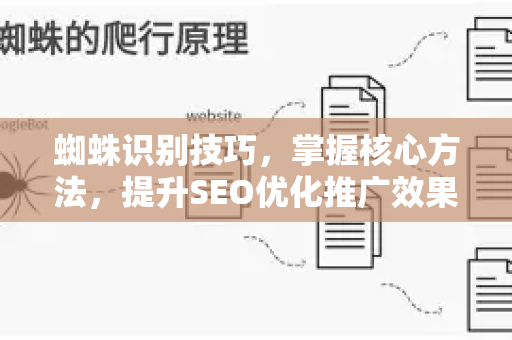 蜘蛛识别技巧，掌握核心方法，提升SEO优化推广效果