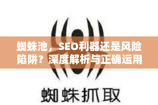蜘蛛池，SEO利器还是风险陷阱？深度解析与正确运用指南