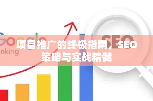 项目推广的终极指南，SEO策略与实战精髓