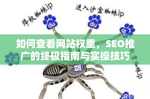如何查看网站权重，SEO推广的终极指南与实操技巧