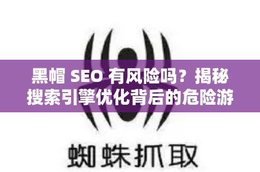 黑帽 SEO 有风险吗？揭秘搜索引擎优化背后的危险游戏
