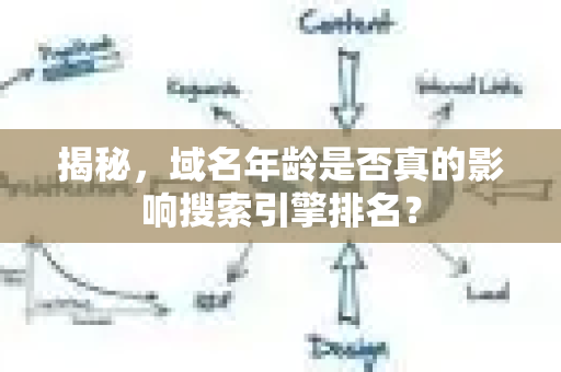 揭秘，域名年龄是否真的影响搜索引擎排名？-第1张图片-星博讯-专业SEO_网站优化技巧_搜索引擎排名提升