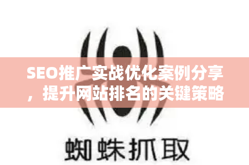 SEO推广实战优化案例分享，提升网站排名的关键策略-第1张图片-星博讯-专业SEO_网站优化技巧_搜索引擎排名提升