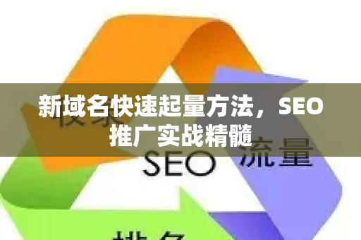 新域名快速起量方法，SEO推广实战精髓