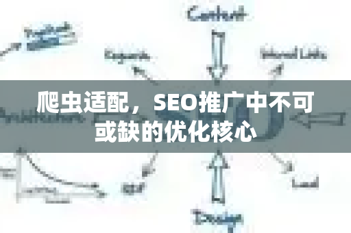 爬虫适配，SEO推广中不可或缺的优化核心