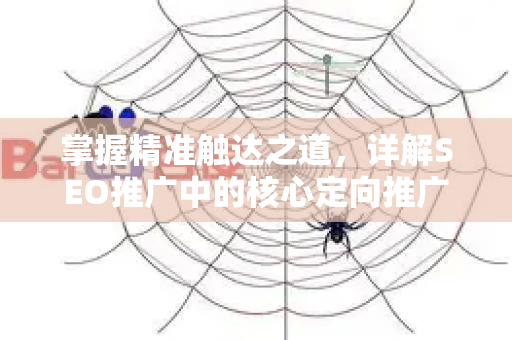 掌握精准触达之道，详解SEO推广中的核心定向推广方法-第1张图片-星博讯-专业SEO_网站优化技巧_搜索引擎排名提升