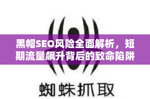 黑帽SEO风险全面解析，短期流量飙升背后的致命陷阱