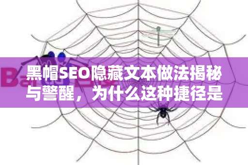 黑帽SEO隐藏文本做法揭秘与警醒，为什么这种捷径是通往惩罚的快车道